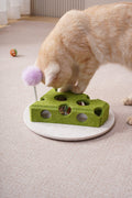 Cheese Wedge Cat Puzzle with Spring Teaser
