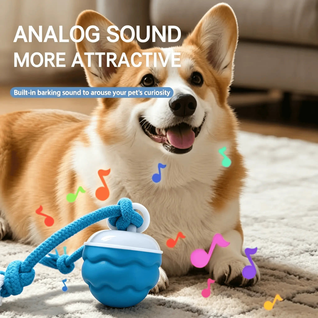 Corgi playing with the ball with built-in sounds