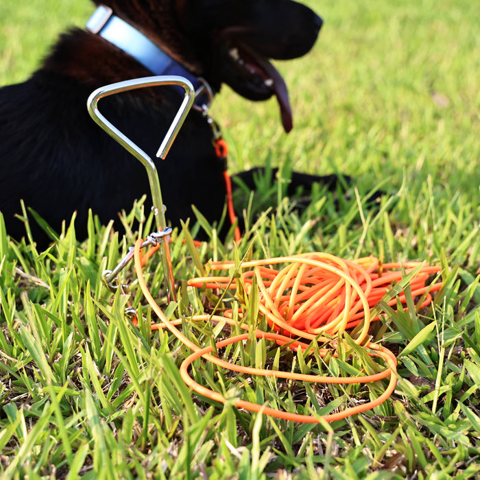 30 ft Yard & Camping Tie-Out with Ground Stake