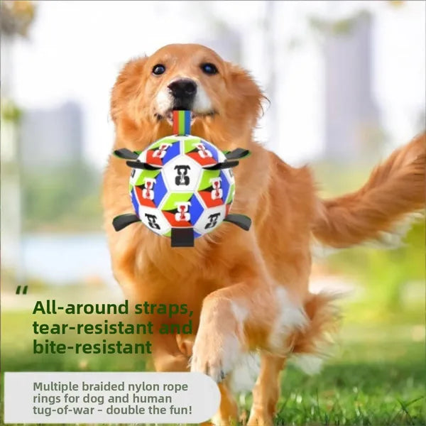 Grab-Tab Soccer Ball for Dogs