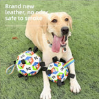 Grab-Tab Soccer Ball for Dogs