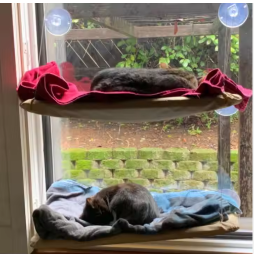 Window Perch Hammock for Cats