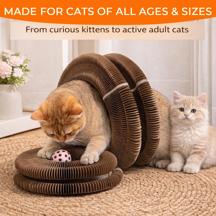 Fold & Play Cat Scratcher with Bell Ball