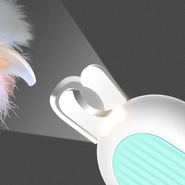 LED light shining through a cat's claw to show the quick