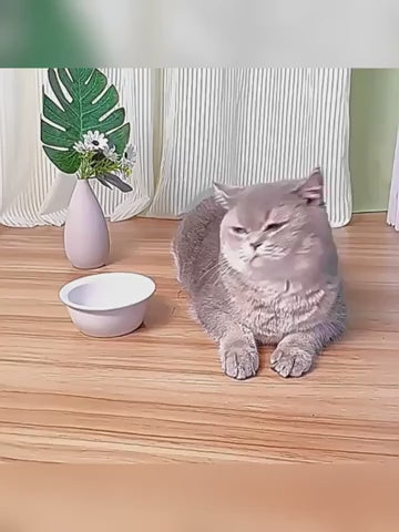 Gravity feeder refilling food and water as a cat eats